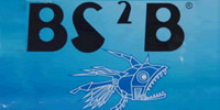 Bs2b|小魔鱼
