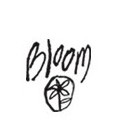 Bloom|布鲁姆