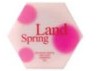 Spring Land|丝佩兰