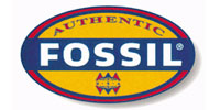 Fossil|化石