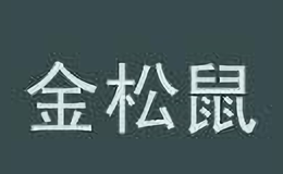 欧意金松鼠