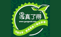 果真了得