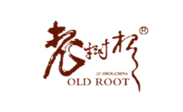 老树根