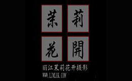 茉莉花开婚纱摄影