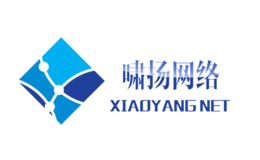 啸扬网络