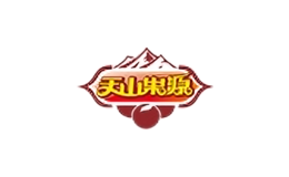 天山果源