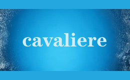 cavaliere