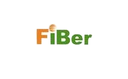 fiber