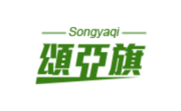 songyaqi