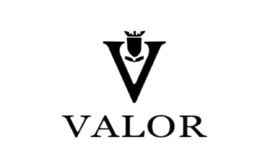 valor威乐