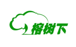 榕树下