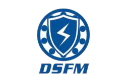 DSFM