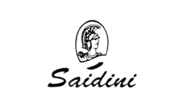 赛蒂尼Saidini