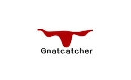gnatcatcher