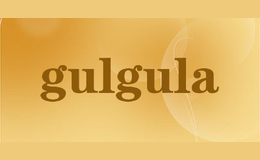 gulgula