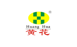 黄花HuangHua