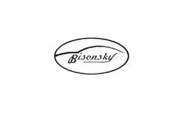 bisonsky汽车用品