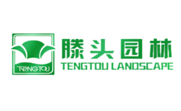 滕头园林TENGTOU