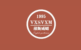 维斯威姆vxsvxm