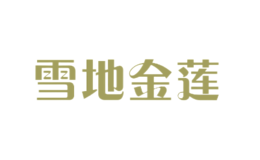 雪地金莲