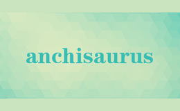 anchisaurus