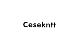 cesekntt