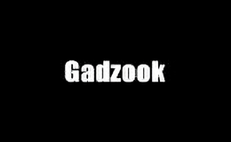 gadzook