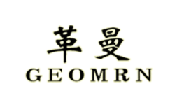 革曼GEOMRN