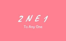 2ne1箱包