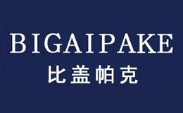 比盖帕克BIGAIPAKE