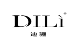 迪骊DILI