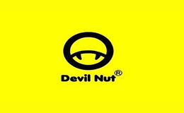 恶魔果实Devil Nut