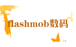 flashmob数码