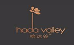 哈达谷HADAVALLEY