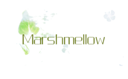 Marshmellow
