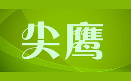 尖鹰