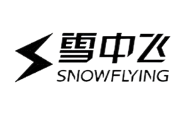 雪中飞SnowFlying