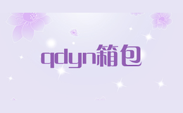 qdyn箱包