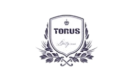 torus