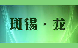 斑锡·龙