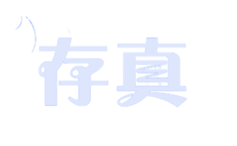 存真