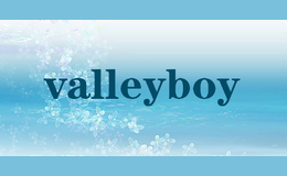 valleyboy