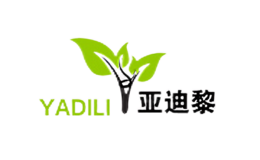 亚迪黎YADILI