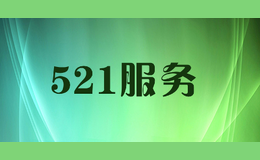 521服务