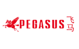 PEGASUS飞马