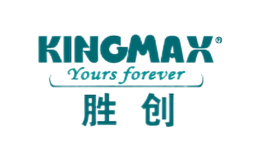 胜创Kingmax