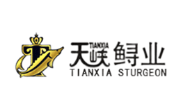 天峡TIANXIA