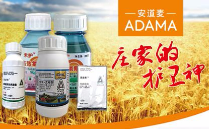 adama安道麦