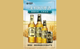 【皖商集团】黑枸杞啤酒