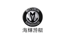 海辉SILVER